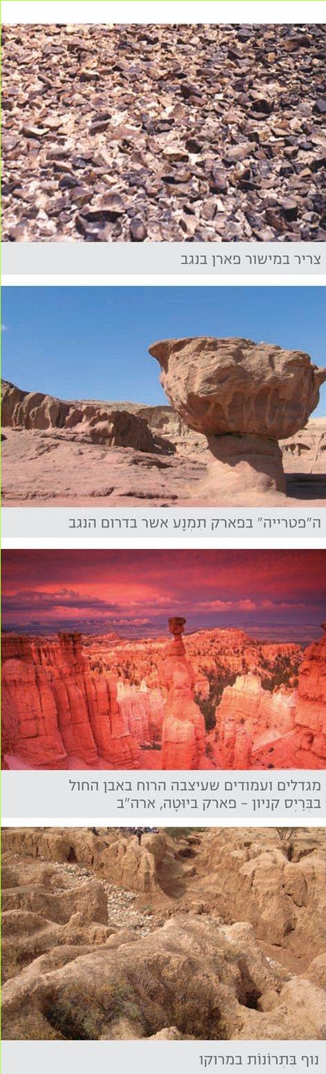 צריר במישור פארן בנגב